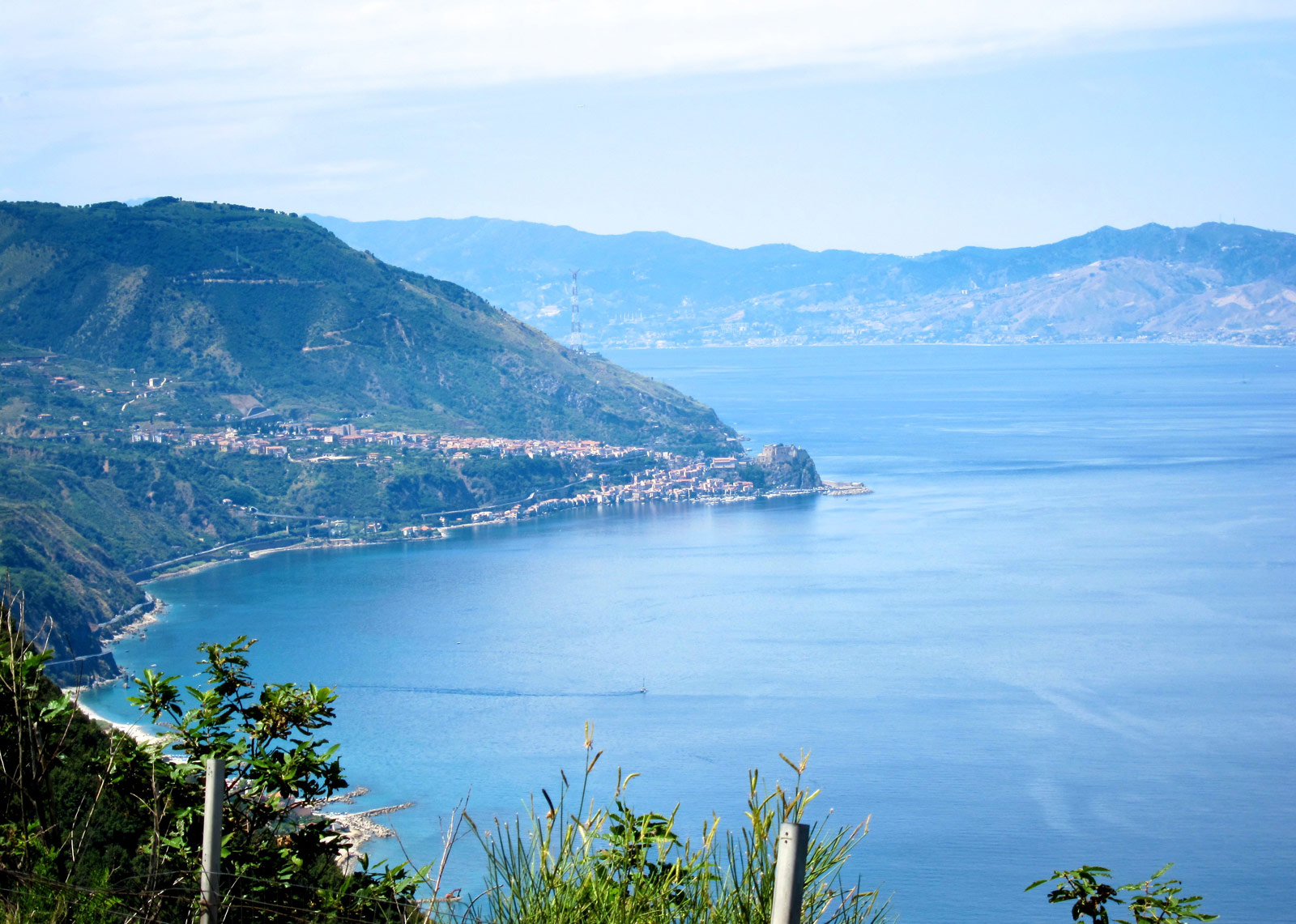 Scilla